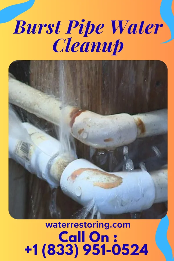 Burst Pipe Water Cleanup in Moosic, PA