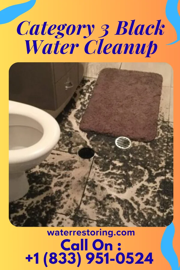 Category 3 Black Water Cleanup in Moosic, PA