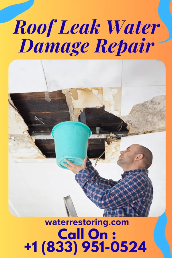 Roof Leak Water Damage Repair in Moosic, PA