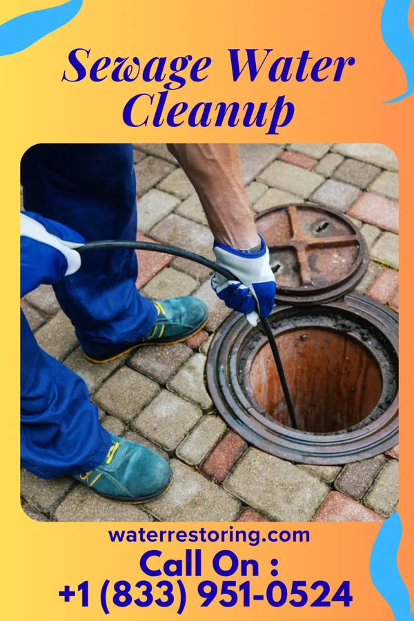 Sewage Water Cleanup in Moosic, PA